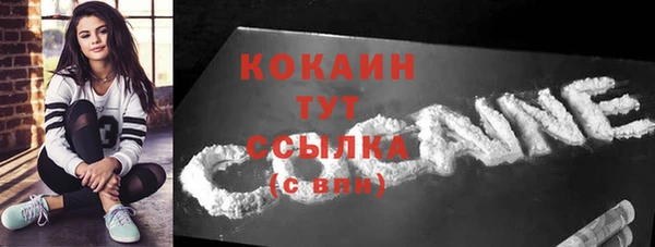 твердый Абаза