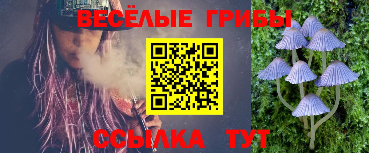 Галлюциногенные грибы Magic Shrooms  Вход с VPN  Красный Сулин  Галлюциногенные грибы Cubensis 
