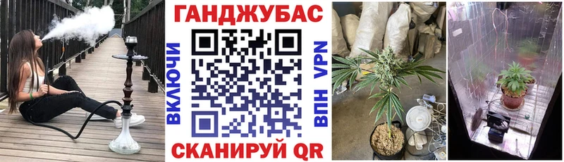 Бошки марихуана Amnesia  Красный Сулин 