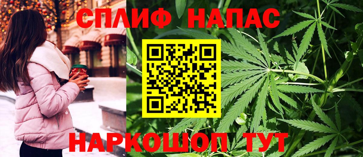 Бошки Шишки планчик Красный Сулин